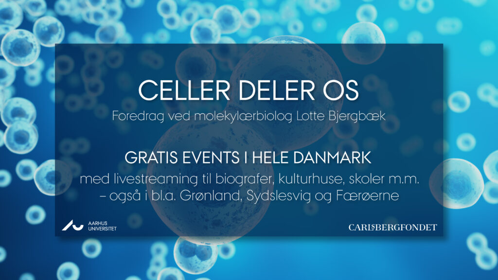 Celler deler os - info billede