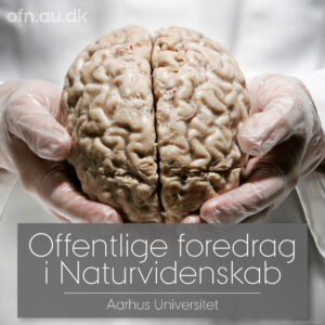 Hvordan-fungerer-hjernen